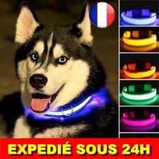 ✅ Collier LED Chien Lumière