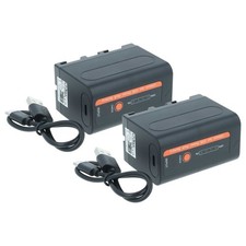 2 Batteries pour Sony