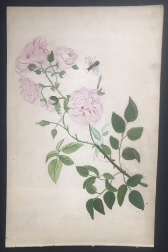 Tableau ancien peinture - tableau,