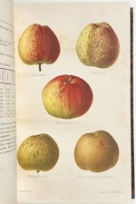 POWER-Traité de la fabrication du cidre, 1890-1893-COMPLET-NOMBREUSES ILL.