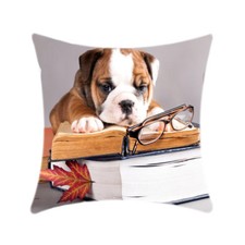 Bulldog Avec Livre Animal