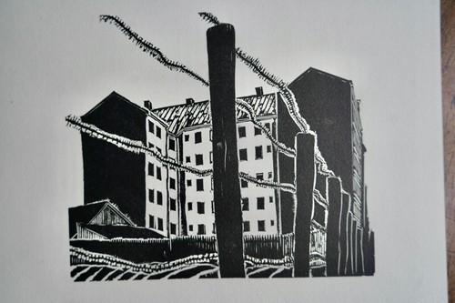 Dannenhirsch riga linoleum - riga,