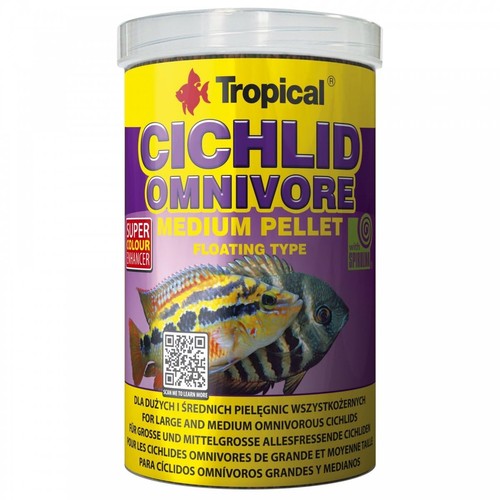 Cichlid omnivore small - cichlid,
