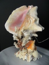 LAMPE COQUILLAGE Bord de mer marine Veilleuse art déco naturalisme brutalisme