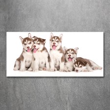 Tulup Image Sur Verre Trempé