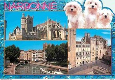Carte Postale - Animaux -