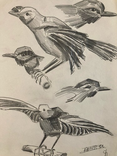 Beau dessin oiseau 1950 mine - 1950,