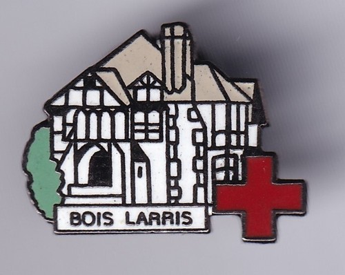 Rare pins pin ong - rare, pin's