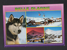 BELLE PLAGNE (73) Chien HUSKY & CHALETS-HOTELS en 1993