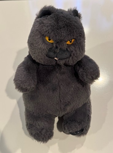 British shorthair cat grumpy - british,