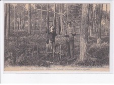 LANDES: chasse à la palombe