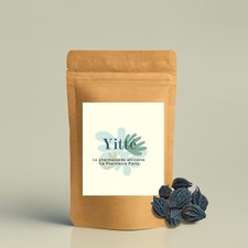 Griffe de Lion (Bicorne) – Protection & Chance | 20 Pièces