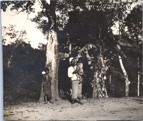 Ceylan kandy - ceylan, (sri
