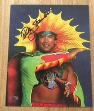 Ricky Steamboat Signed