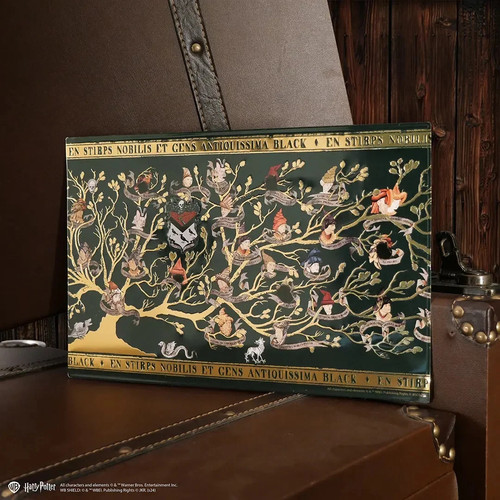 Harry potter plaque en - -,
