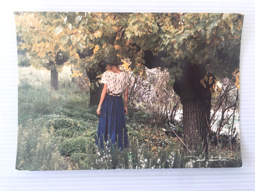 Carte postale david hamilton - ,