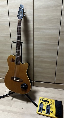 Acoustic electric guitar godin - acoustic,