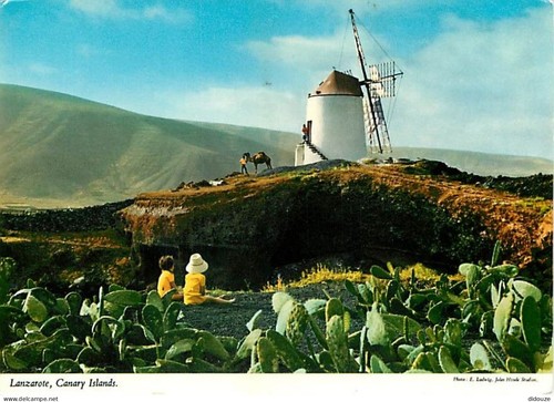 Carte postale moulin à vent - moulin,