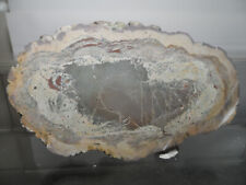  CRIS31K "TRANCHE"  LITHOPHYSE AVEC REMPLISSAGE JASPE VERT ET MARRON FREJUS VAR