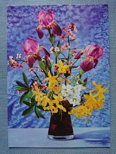 Ancienne carte postale iris - ancienne, ak
