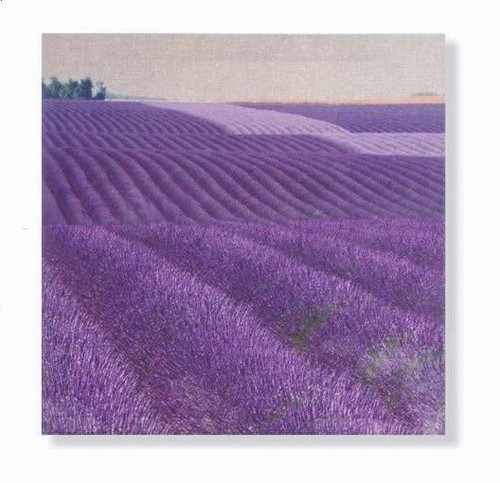 Cadre toile tableau - champ, de