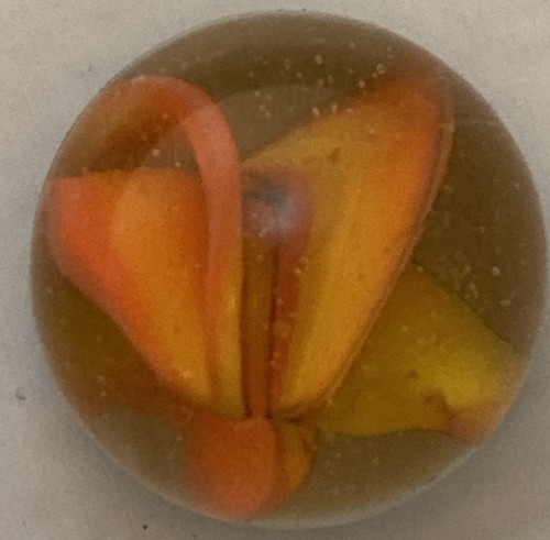 Vitro agate peach color - vitro, hybrid