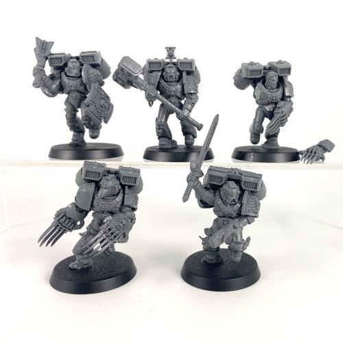 Vétérans vanguard - x5,