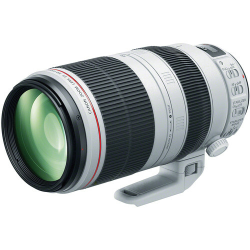 Canon 100 400mm - 100-400mm, f/4.5-5.6l
