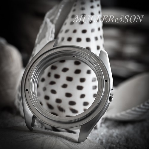 Aftermarket watch build mod - watch,