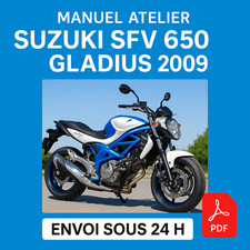 Manuel Atelier Suzuki SFV 650