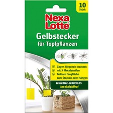 Nexa Lotte Gelbstecker