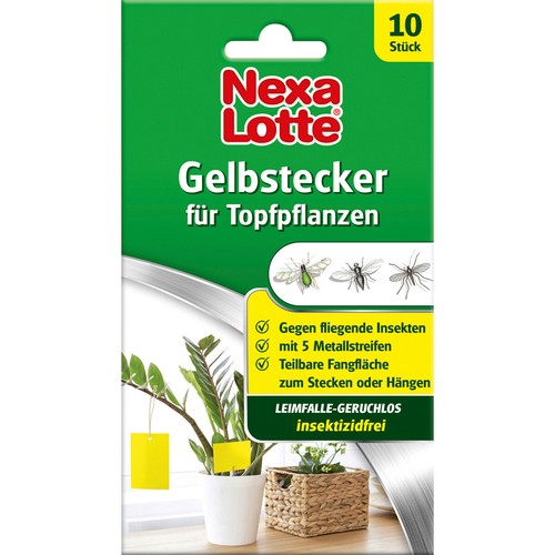 Nexa lotte lot bouchons - lotte, de