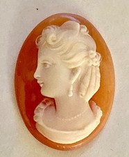 Ancien camée coquillage