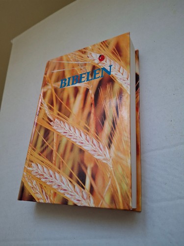 Bible norvégien norsk - norvégien,