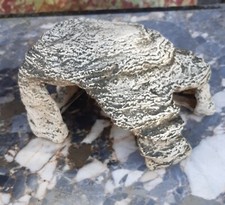  Cachette D'aquarium Terrasse Des Tortues Habitat Pour Reptiles