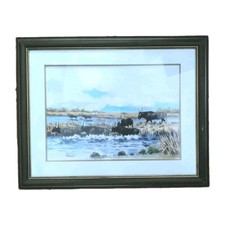 Taureaux en Camargue Henri