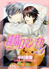 Junjou Romantica #21 | JAPAN BL Comic Book Manga Boys Love Yaoi