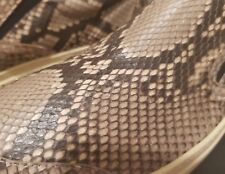 Jean-Baptiste Rautureau Python