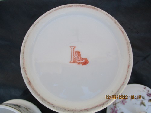 Tisaniere porcelaine decor
