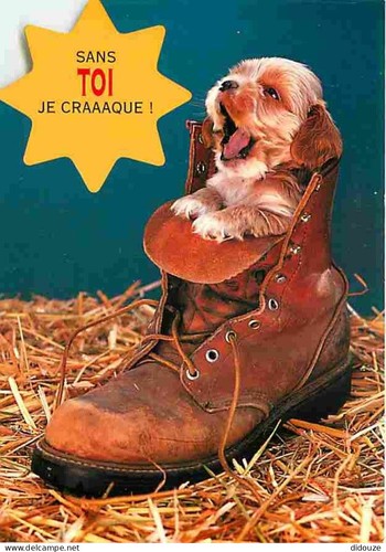 Carte postale animaux - carte,