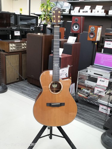 Guitare électrique acoustique