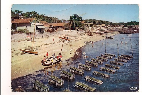 Bassin arcachon les cages - ,