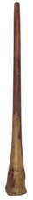 Didgeridoo Eucalyptus Proline
