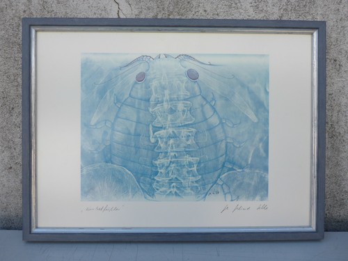 Image impression - image,