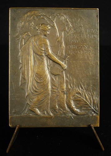 Medaille françois auguste - medaille, françois-auguste