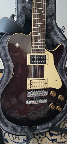 Ibanez pf100 - ibanez,