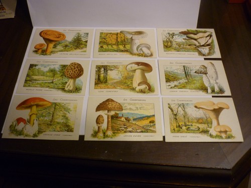 Lot images collection theme - images,