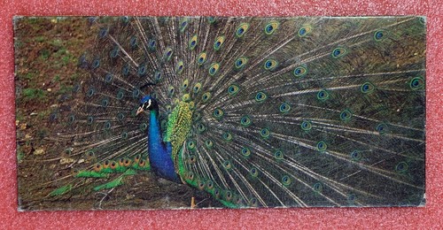 Carte merveilles monde - carte,