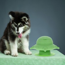  Gamelle Chiot Mangeoire À