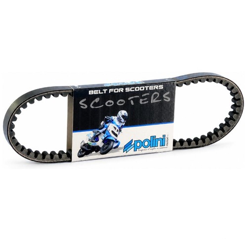 Courroie polini booster spirit
